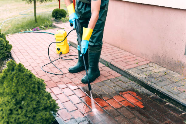 Best Window and Screen Pressure Cleaning in USA