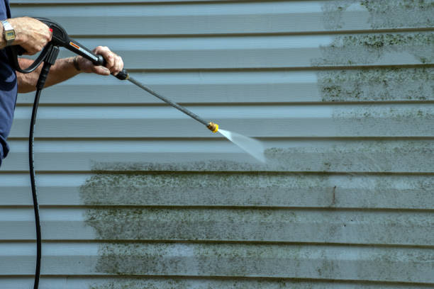 Best Gutter Cleaning and Brightening in USA